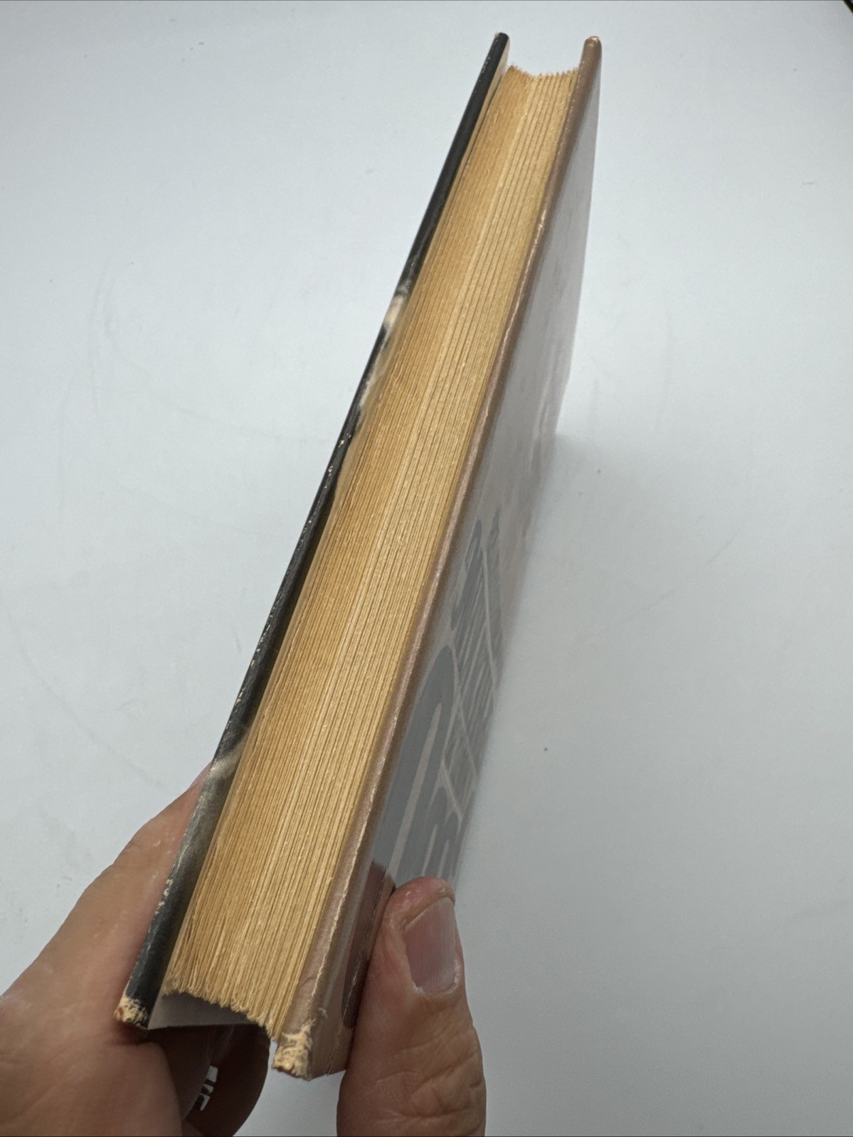 CUJO BY STEPHEN KING FIRST EDITION HARDCOVER w/ DJ 1981 Book Club Edition