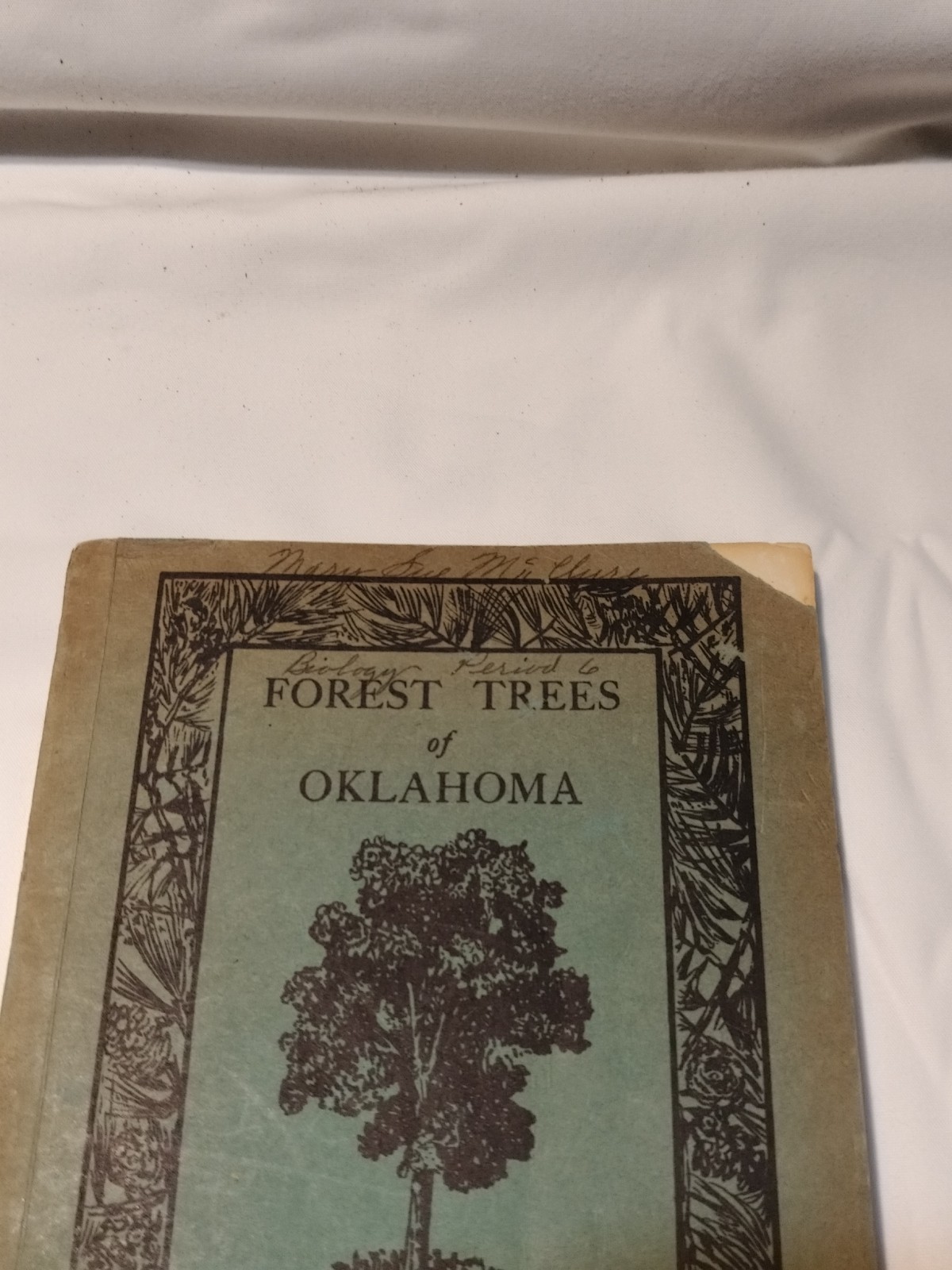 1950 Forest Trees of Oklahoma Guidebook Manual How To Know Them 135 Pages No. 7