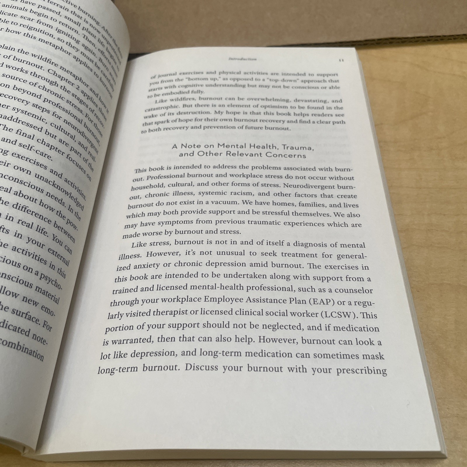 Burnout Recovery by Alicia King Anderson Paperback
