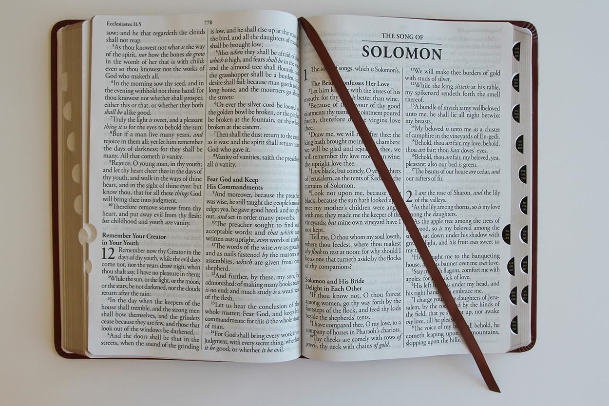 KJV Giant Print Thinline Bible – Durable Brown Cover, Ribbon Marker, 1408 Pages