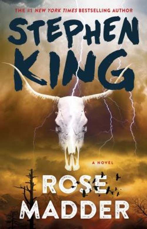 Rose Madder : A Novel Paperback Stephen King