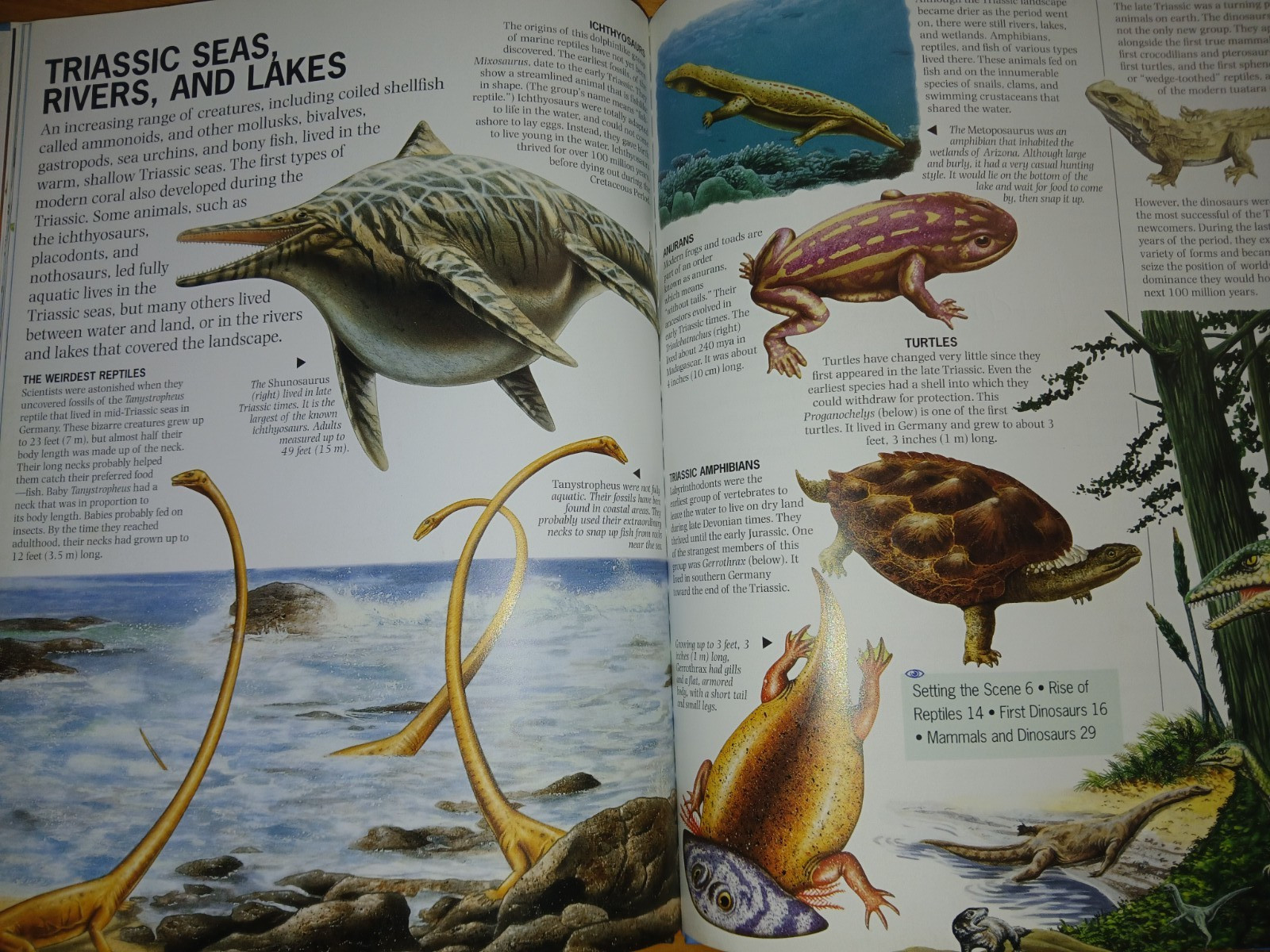 Dinosaurs Undercover – Triassic Dinosaurs Rupert Matthews