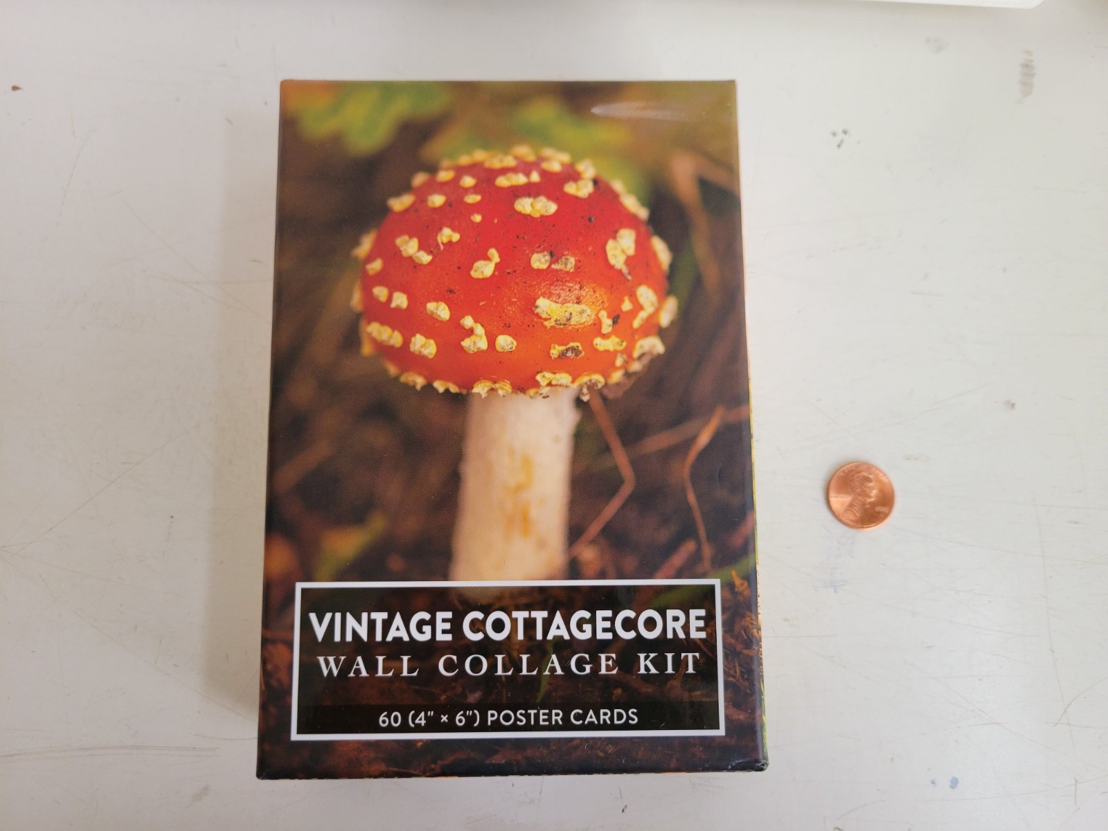 Vintage Cottagecore Wall Collage Kit: 60 (4″ x 6″) Poster Cards by Adams Media