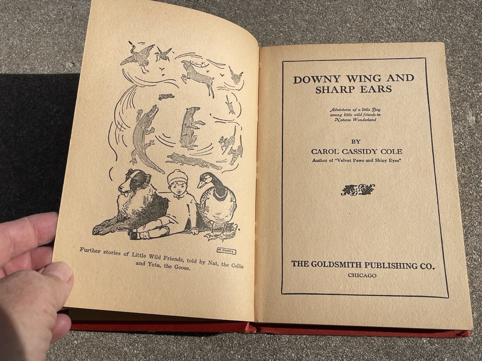 Lot 3 Goldsmith Carol Cassidy Cole Childrens Books Vintage 1928 Hardcovers 1st