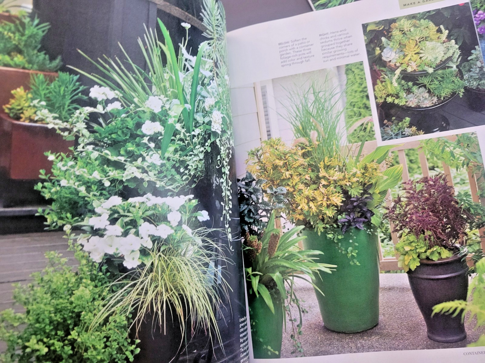 Container Gardening by BH&G – 100 Easy-Care Combos for Sun or Shade- Like A Pro