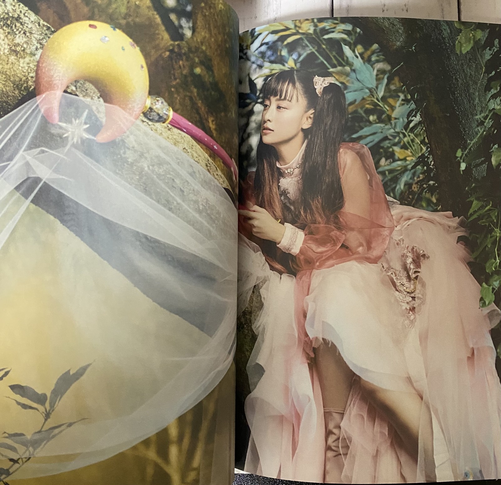 Magical Girl Mizuki Yamamoto Photobook Regular Edition Japan