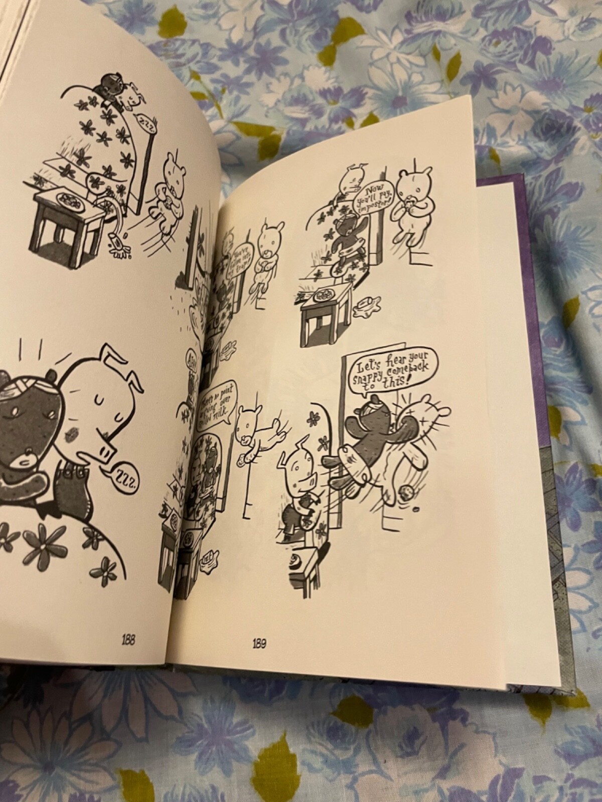 BOOK Friends is Friends Greg Cook First Edition 2016 Graphic Novel Roaring Brook
