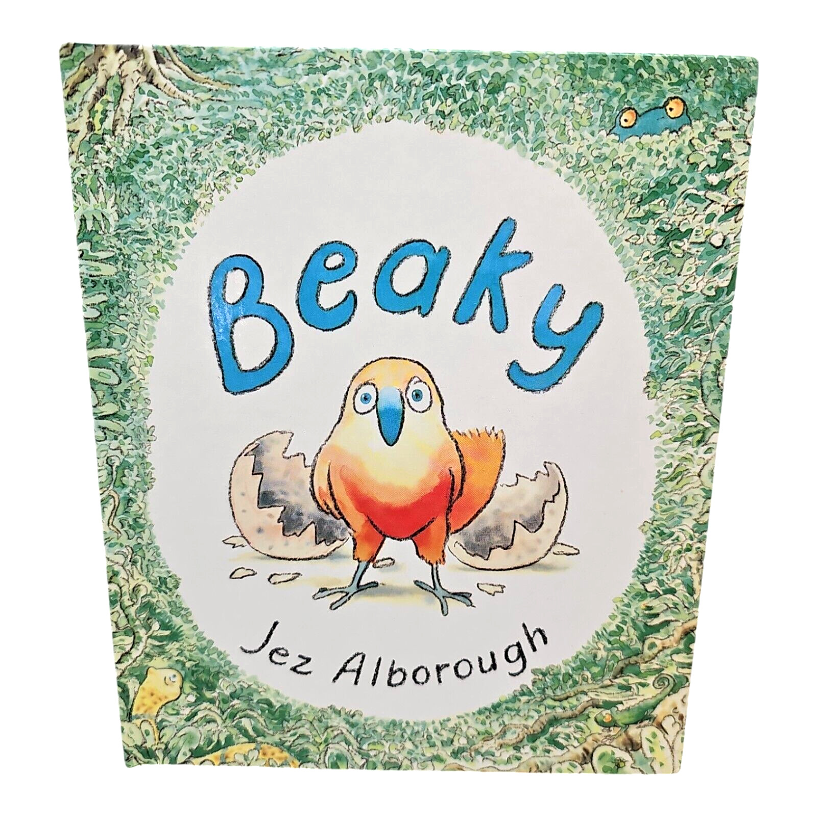 Beaky Jez Alborough Childrens Book Learning to Fly 1990 Hardcover