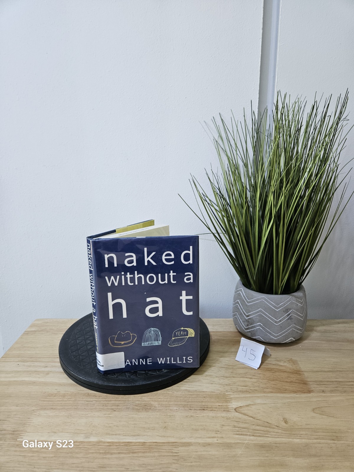 Naked Without Hat by Jeanne Willis 2004 Hardcover Dust Jacket