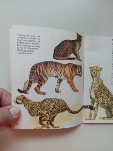 SCIMITAR NP Cats By Jill Hughes 1981 Paperback