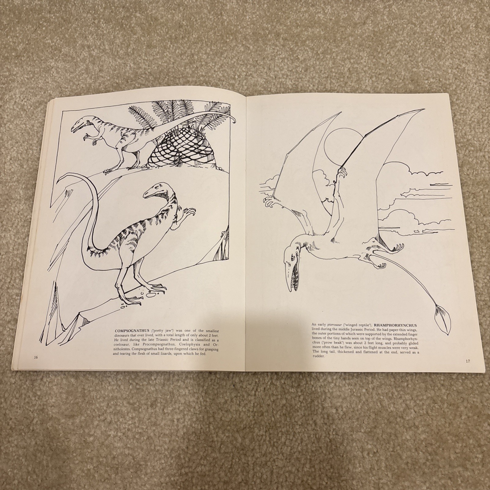 The Dinosaur Dover Coloring Book Paperback Anthony Rao Vintage 1980