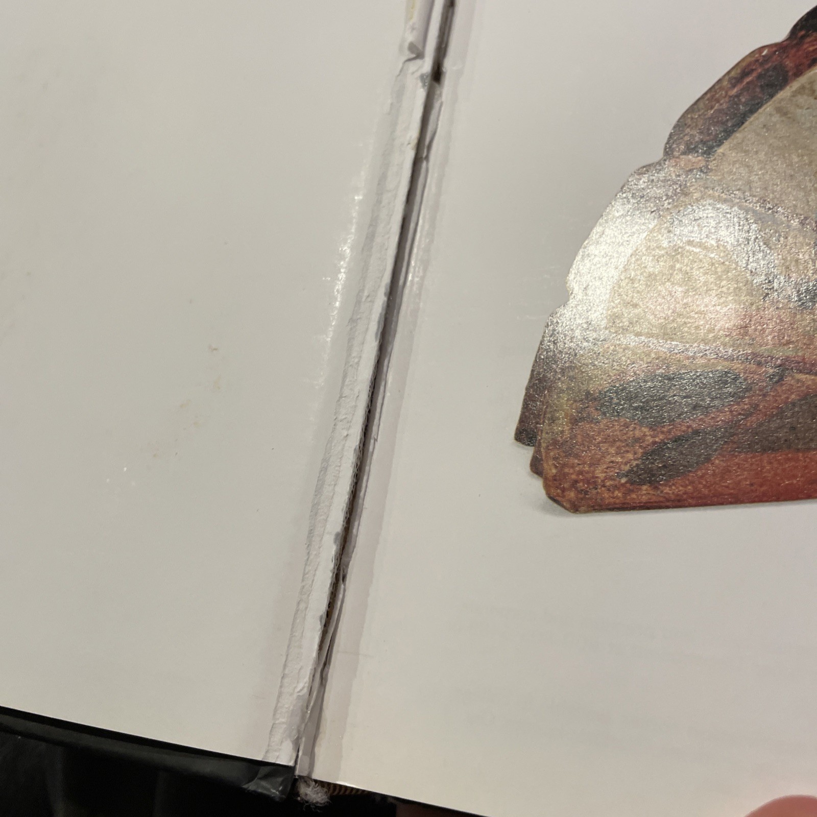 Best of 500 Ceramics : Celebrating a Decade in Clay by Lark Crafts DEFECT COPY