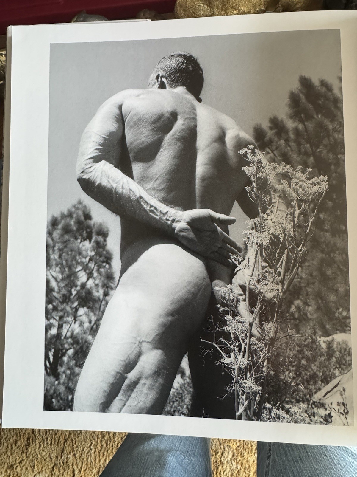 Man/Nature by Sherwin Carlquist (2002, Hardcover) Photo Book Gay Interest Nudity