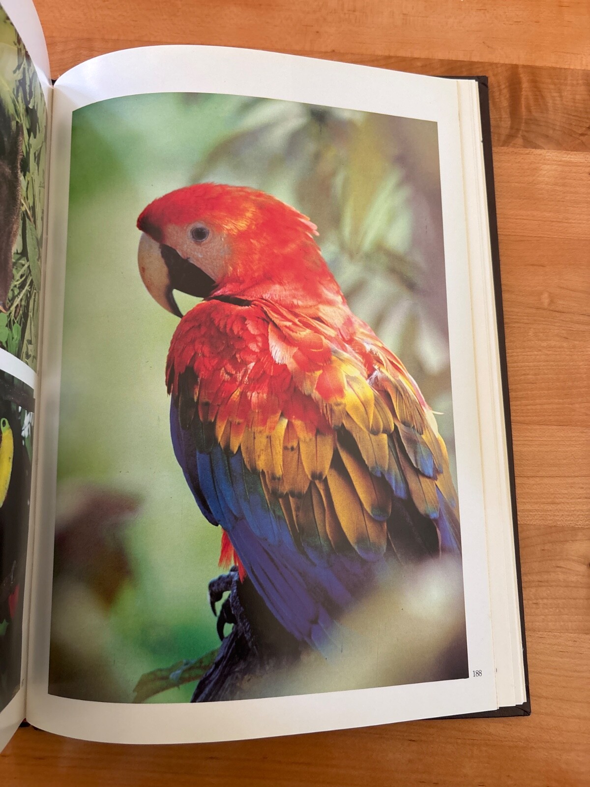 National Parks of Ecuador Hardback 1987 by Jorge Juan Anbalzer 230 Pages Rare