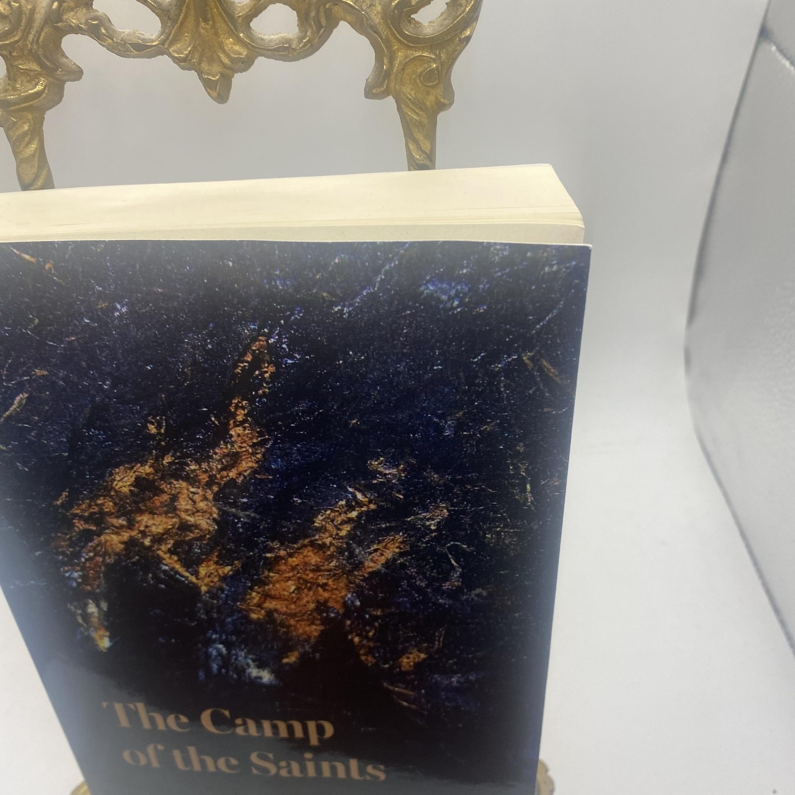 The Camp Of The Saints Jean Raspail Vauban Trade PB 2025 Dystopian Novel