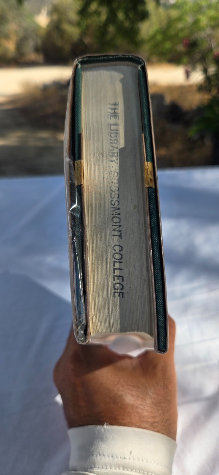 The Limits of Hitler’s Power 1st Edition by Edward N Peterson Book HCDJ Ex Lib