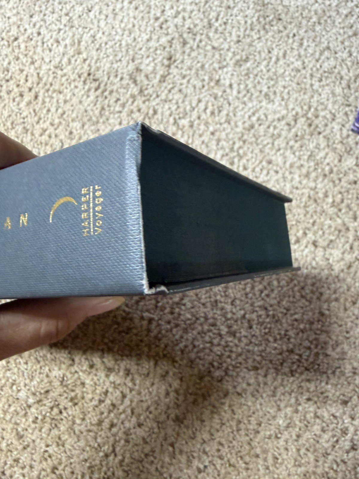 Immortal FairyLoot Edition Sue Lynn Tan 2025 Hardcover Sprayed Edges