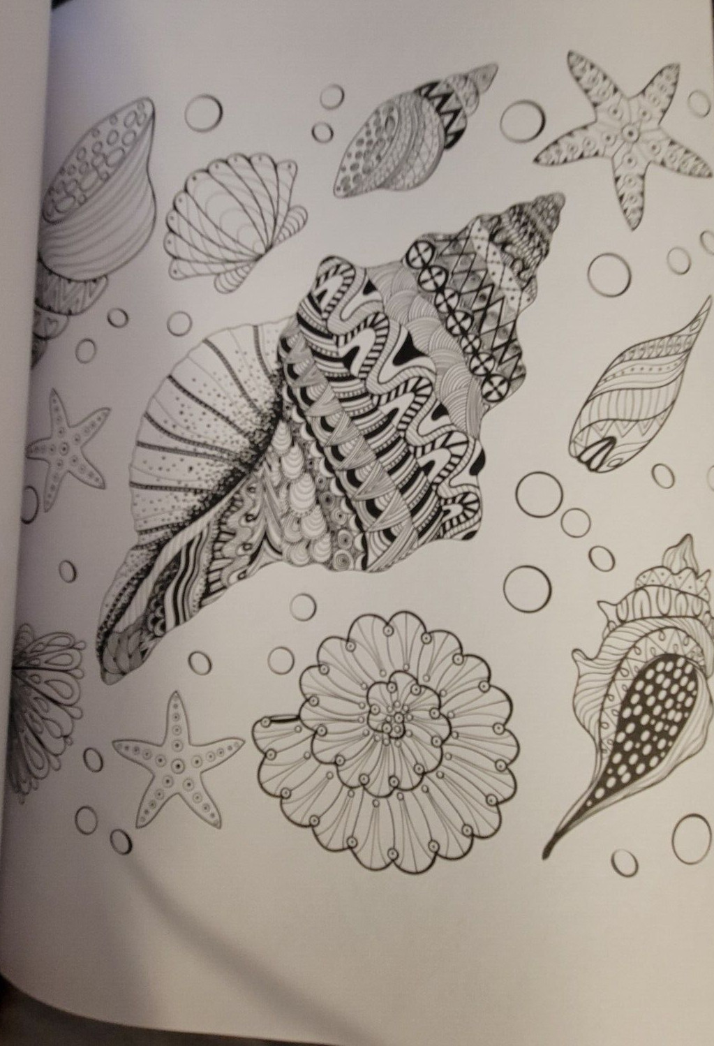 SEASUDE ESCAPES Adult Coloring Book With 62 Prints Ready To Color Relaxing Calm