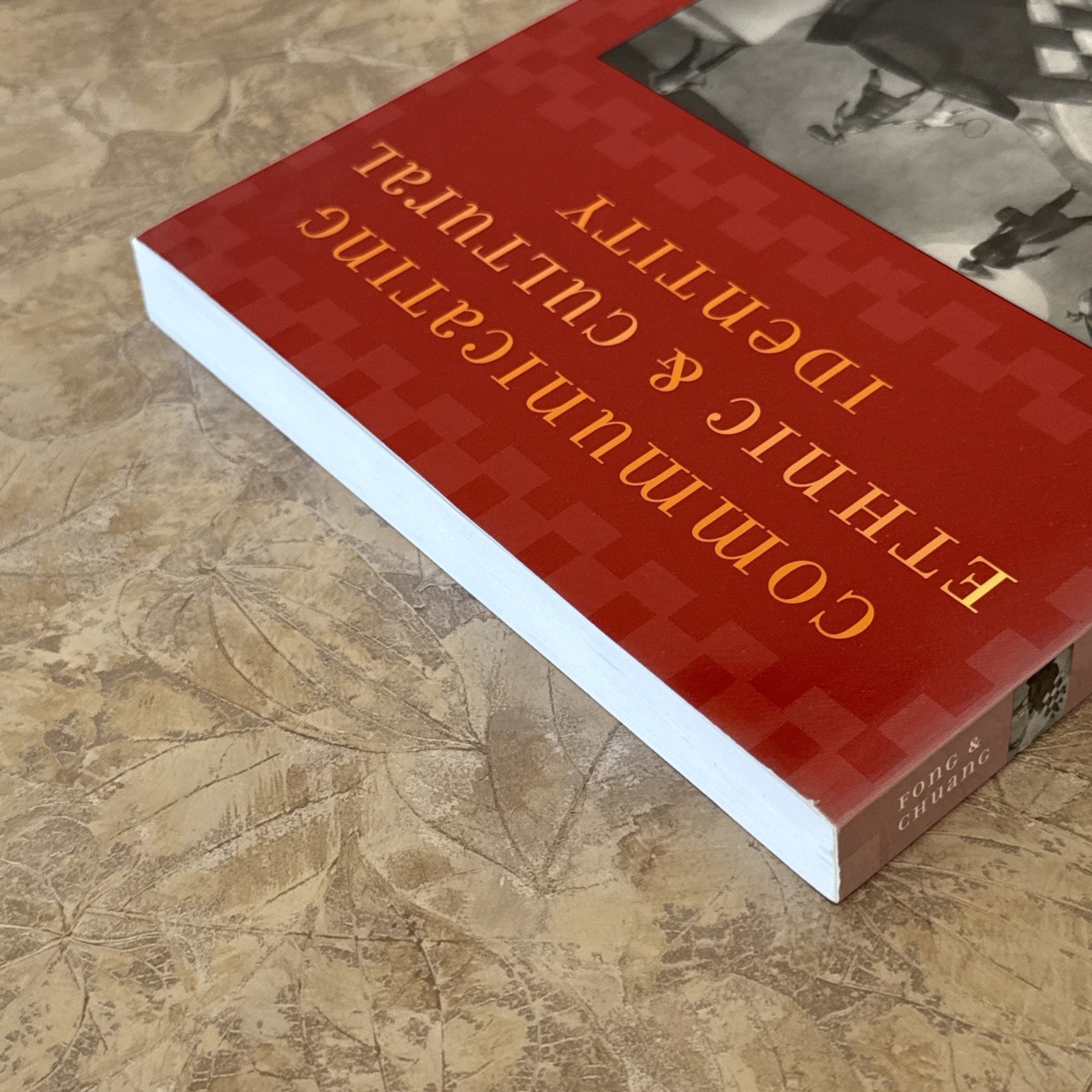 Communicating Ethnic and Cultural Identity by Mary Fong, Chuang, Rueyling