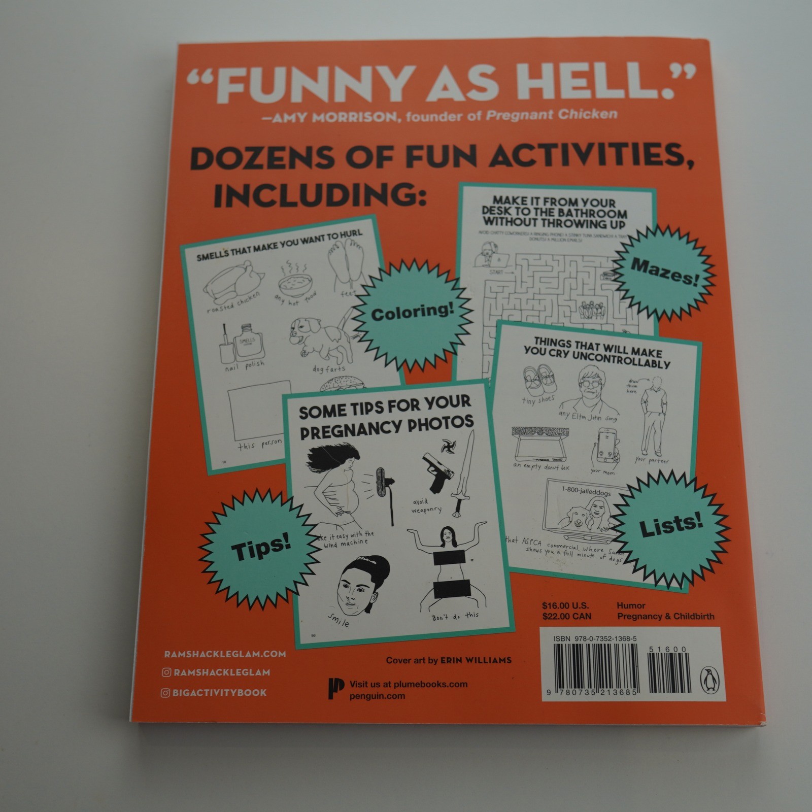 The Big Fat Activity Book For Pregnant People, Jordan Reid & Erin Williams