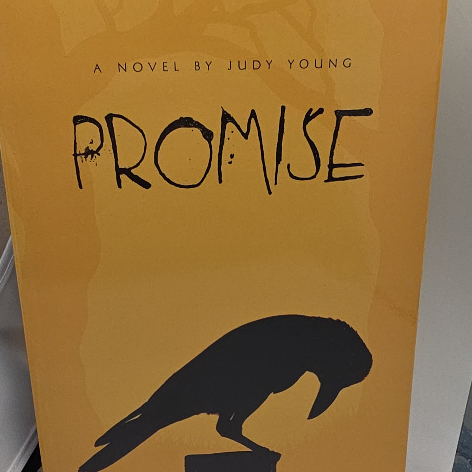 Judy Young Book Lot Promise 2016 Paperback Sleeping Bear Press Juvenile Fiction
