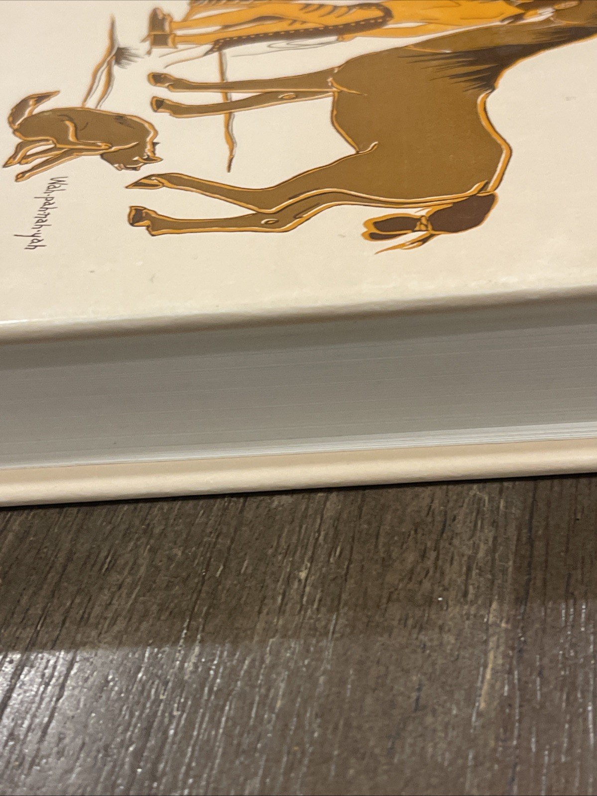 RARE! The Cheyenne Way by Karl Llewelyn 1941, Fourth Print 1967 w/ HC DJ