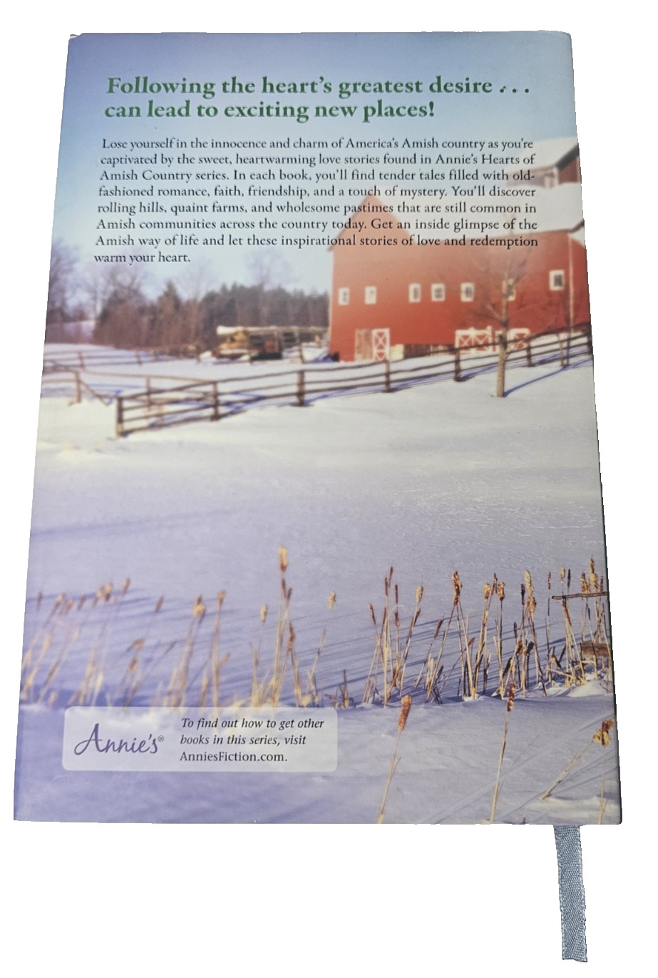 One Simple Wish Hearts of Amish Country Series Katy Lee Hardcover 2nd Book