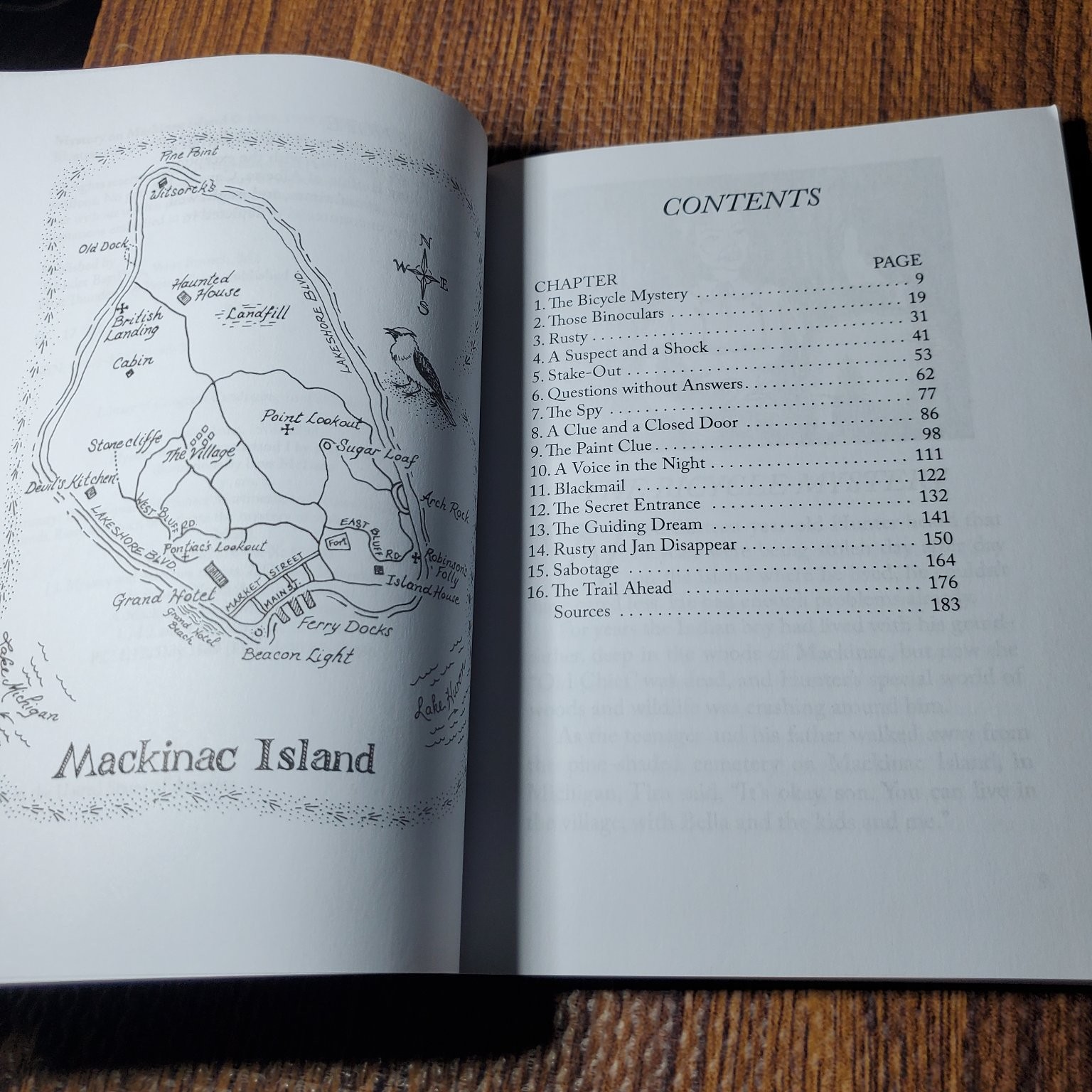 Mystery on Mackinac Island Anna W. Hale 1998 First Edition Children’s Mystery