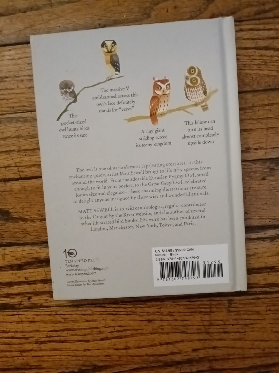 OWLS Our Most Charming Bird by Matt Sewell First Edition HC