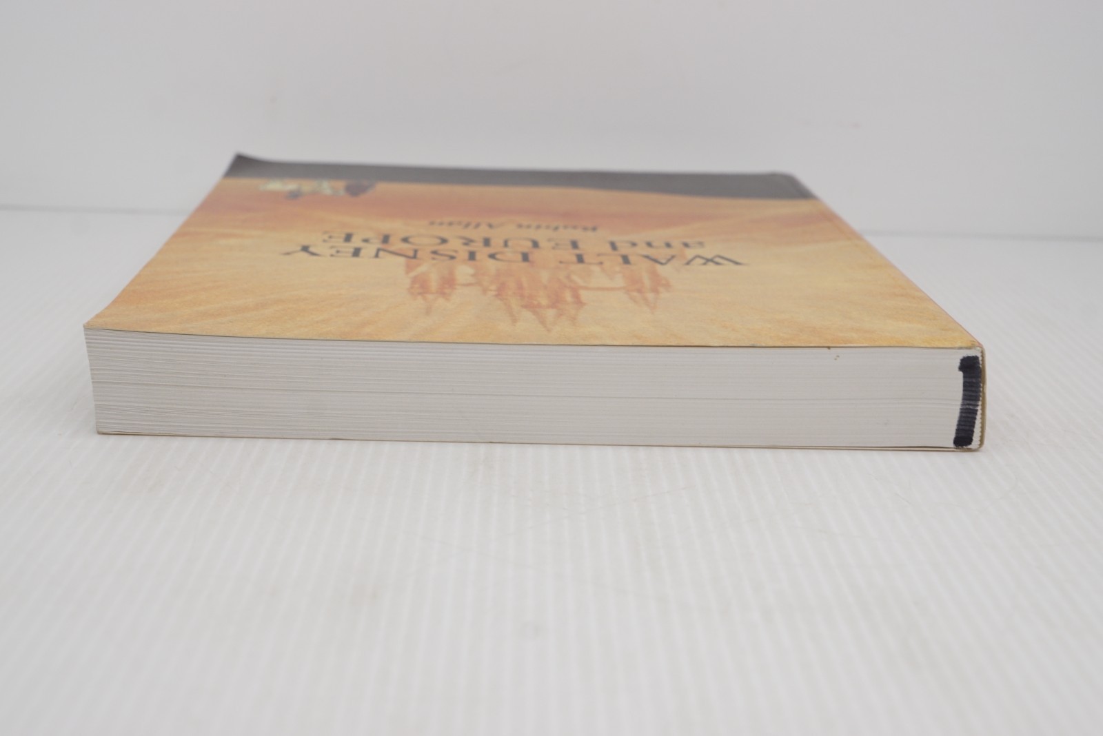 Walt Disney and Europe by Robin Allen 1999 SC First Printing Indiana Univ Press