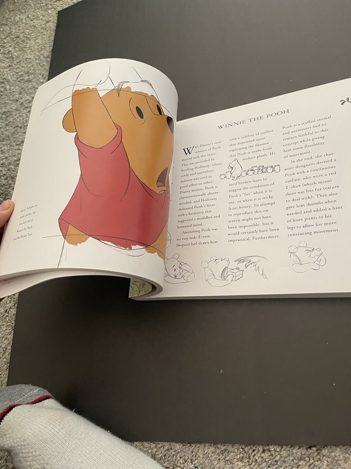 Disney’s Winnie the Pooh A Celebration of the Silly Old Bear -2002
