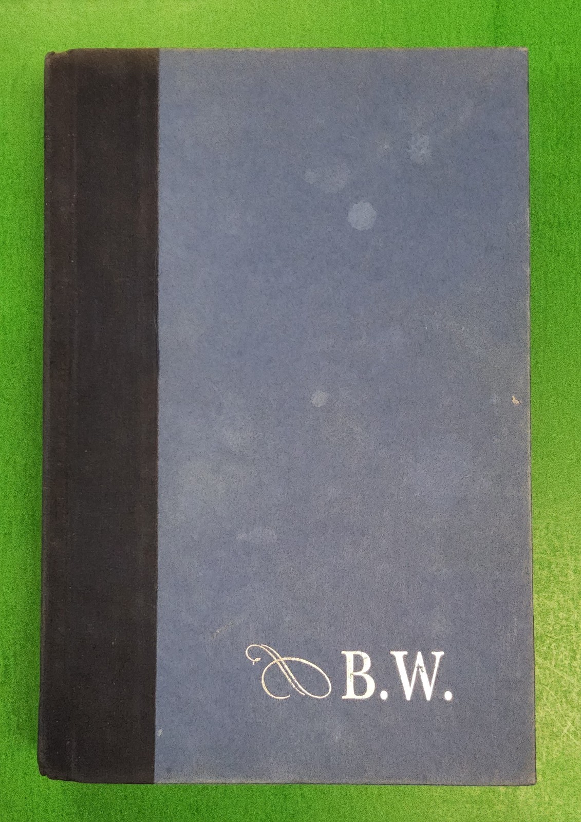 SIGNED Wouldn’t It Be Nice:My Own Story by Brian Wilson and Todd Gold
