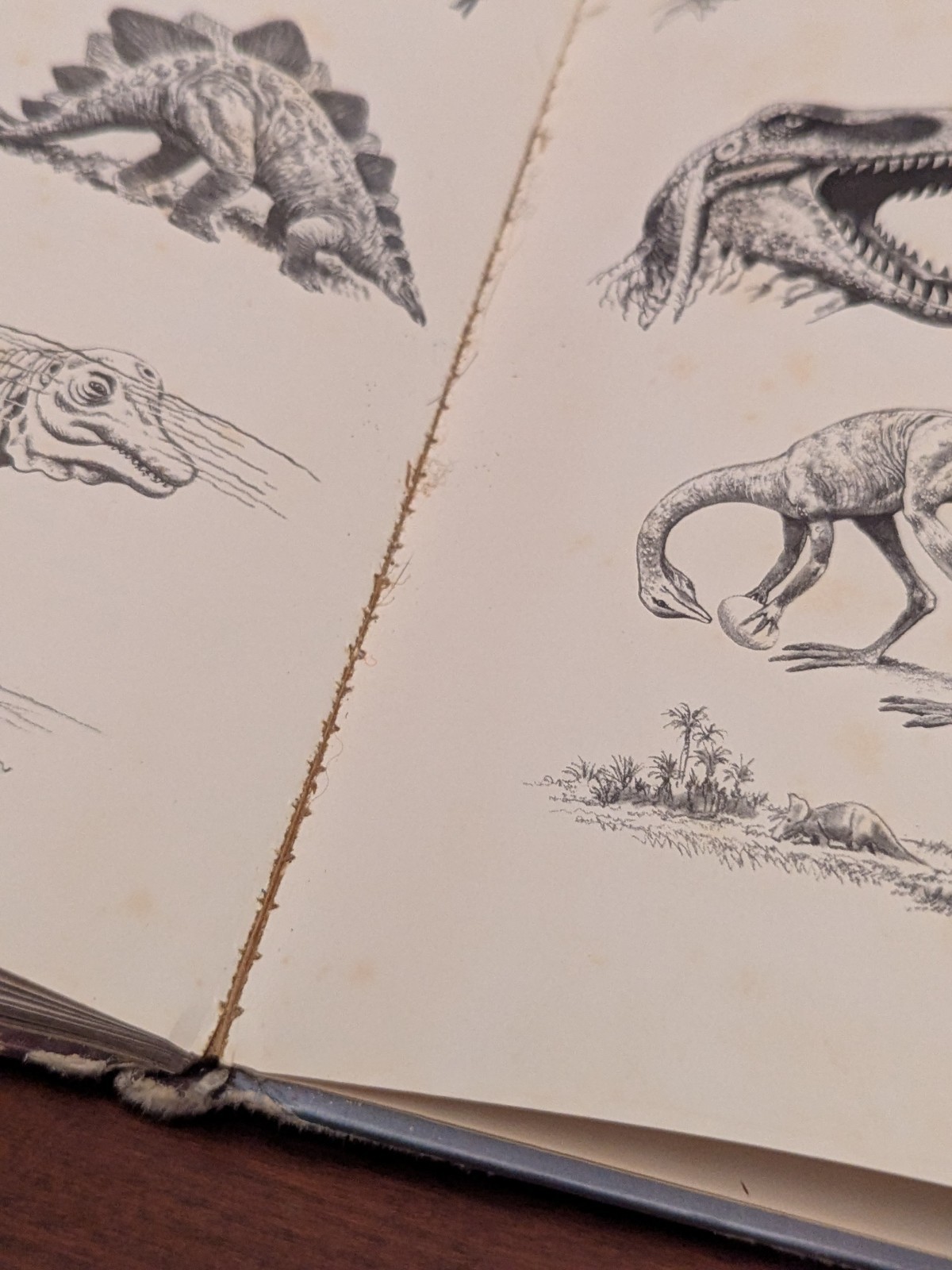 Album Of Dinosaurs Vintage Children’s Hardcover Tom McGowen Rand McNally 1976