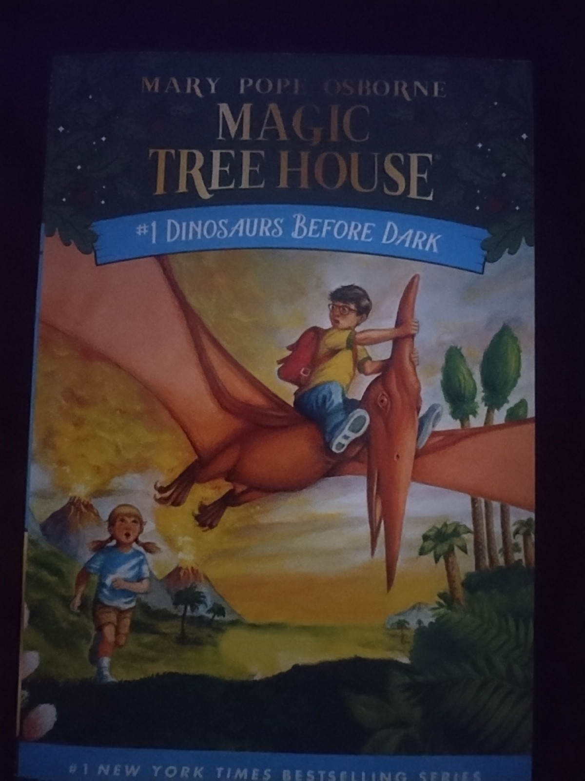 Dinosaurs Before Dark by Mary Pope Osborne (1992, Digest Paperback)