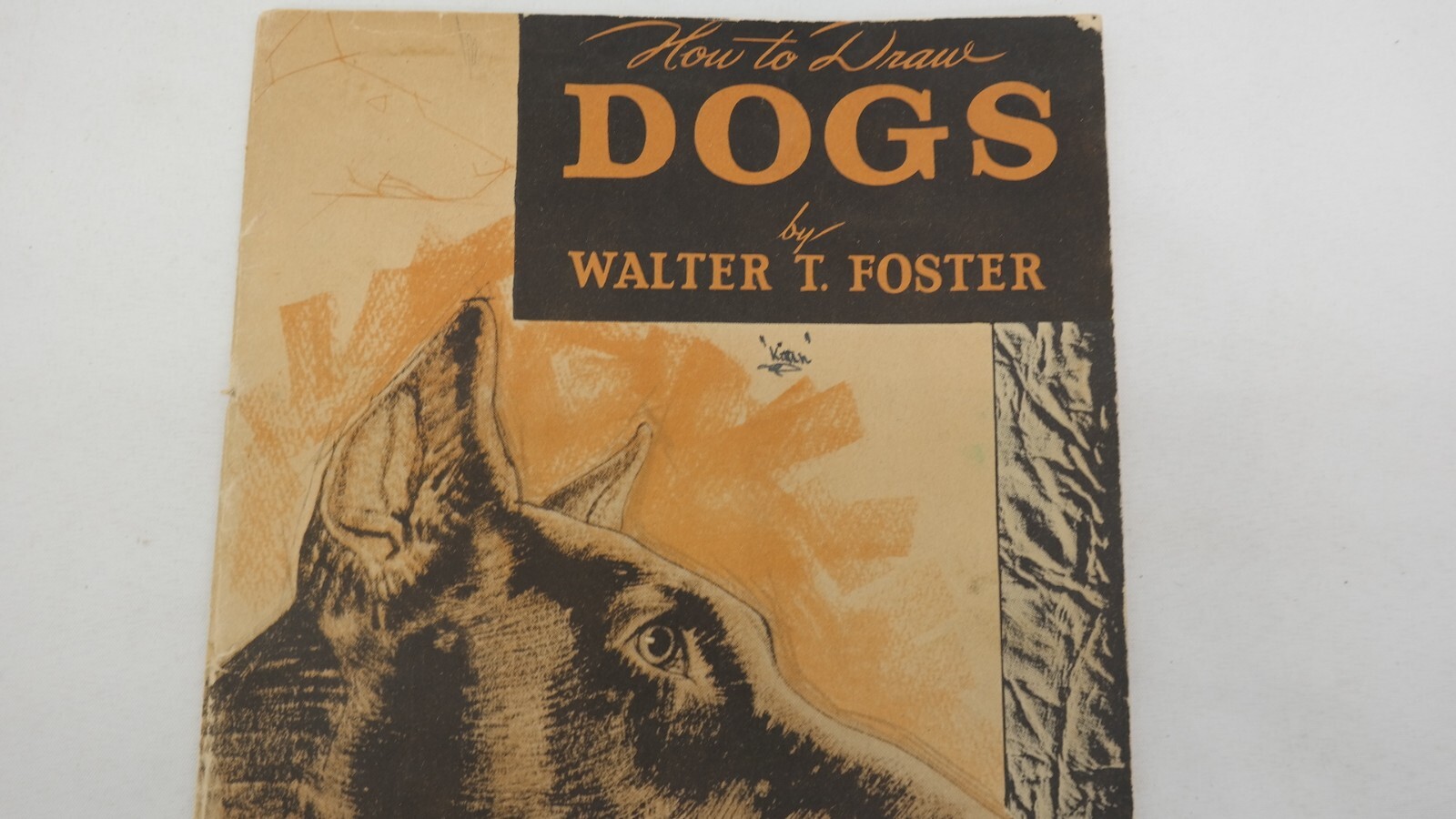 Vintage How To Draw Dogs by Walter T Foster Paperback Booklet TF