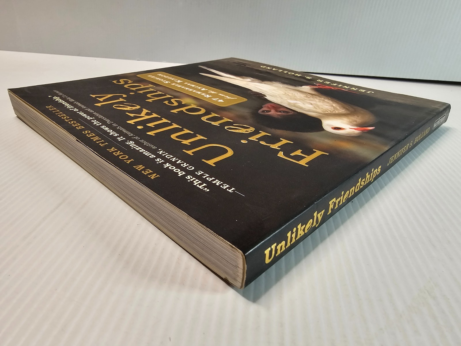 Unlikely Friendships by Jennifer S. Holland – Paperback
