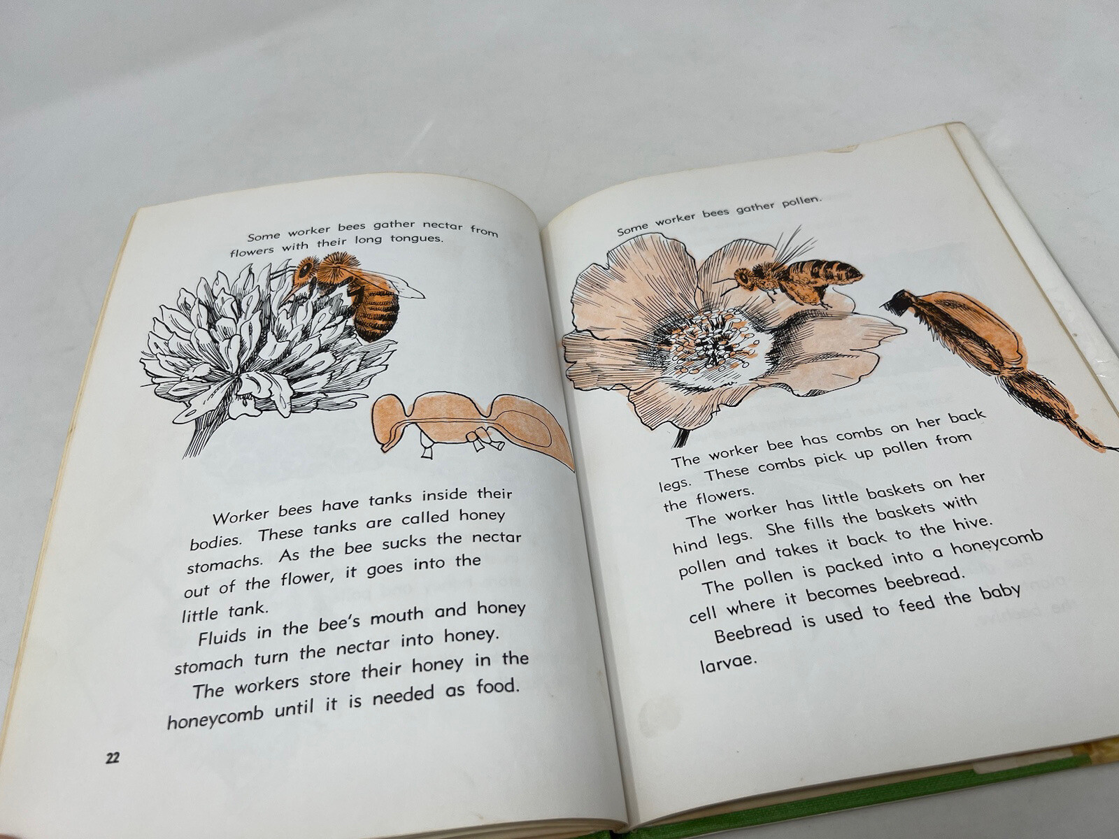 JERRY FINDS BEES Darby, Gene Published by Steck-Vaughn Co., Austin, TX, 1967