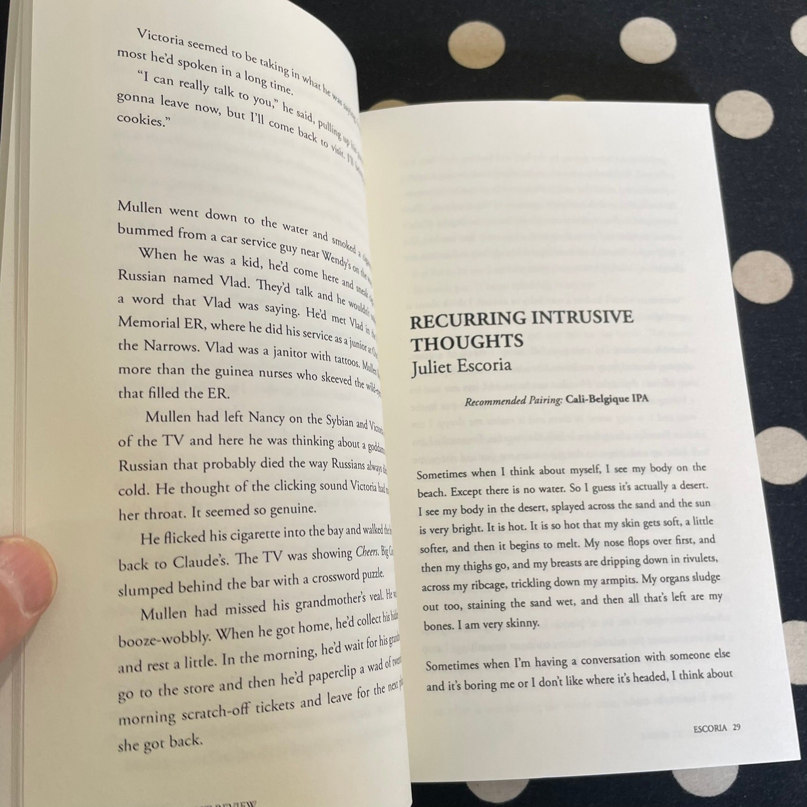 Lazy Fascist Review No. 1 2014 Softcover Literary Journal DENNIS COOPER