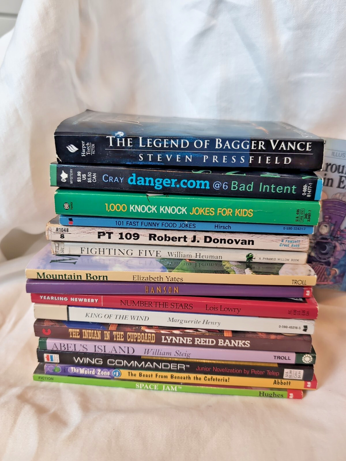 Books For Pre Teens Lot Of 16 Fiction Paperback