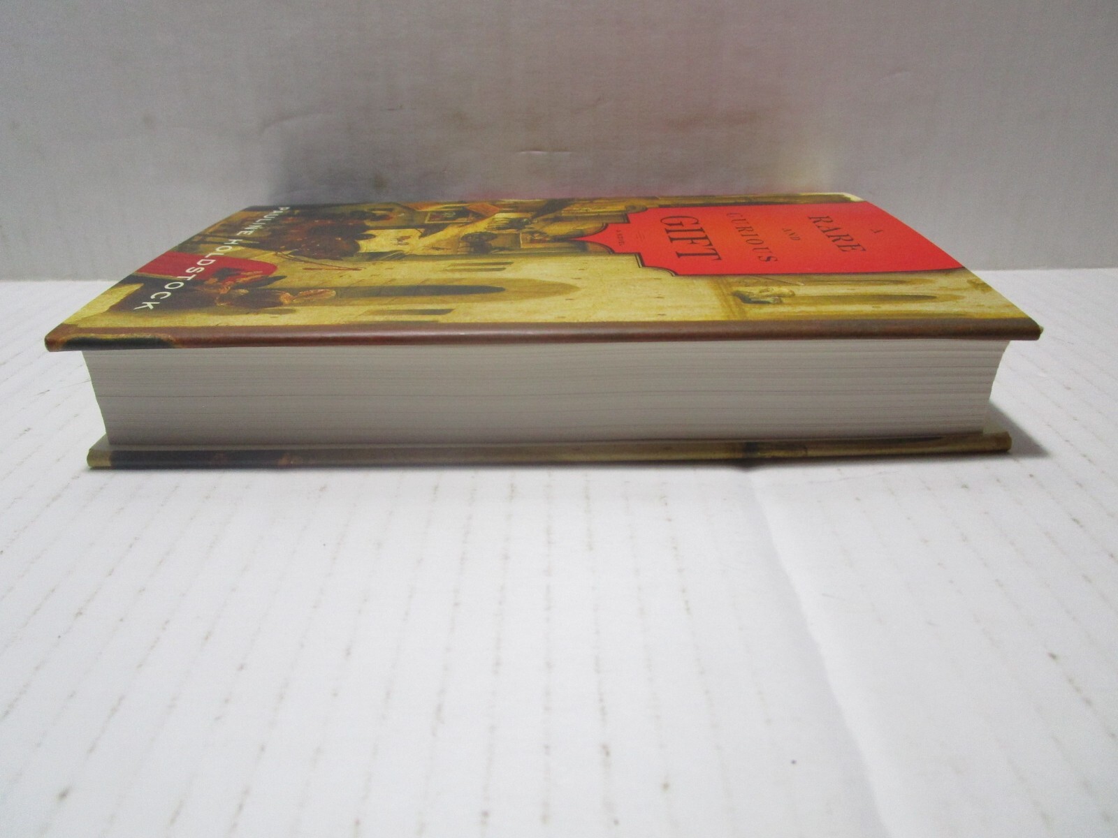 A Rare and Curious Gift – Pauline Holdstock – Hard Cover First American Edition