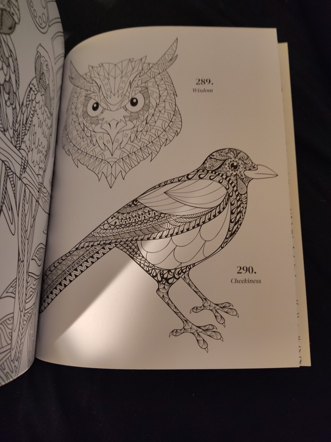 Gratitude 365 Coloring Book Mindful Coloring Every Day Adult Kids All Ages