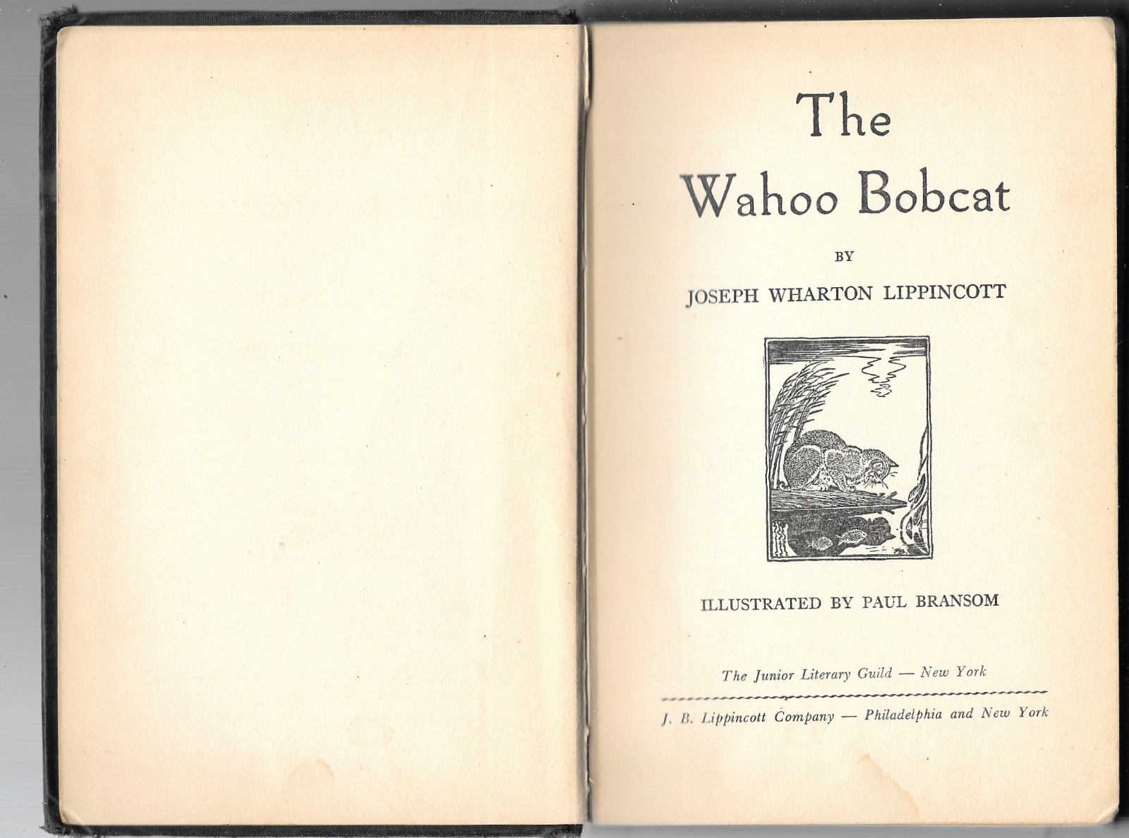 The bahoo Bobcat Joseph Wharton Lippincott First Edition Hardcover 1950