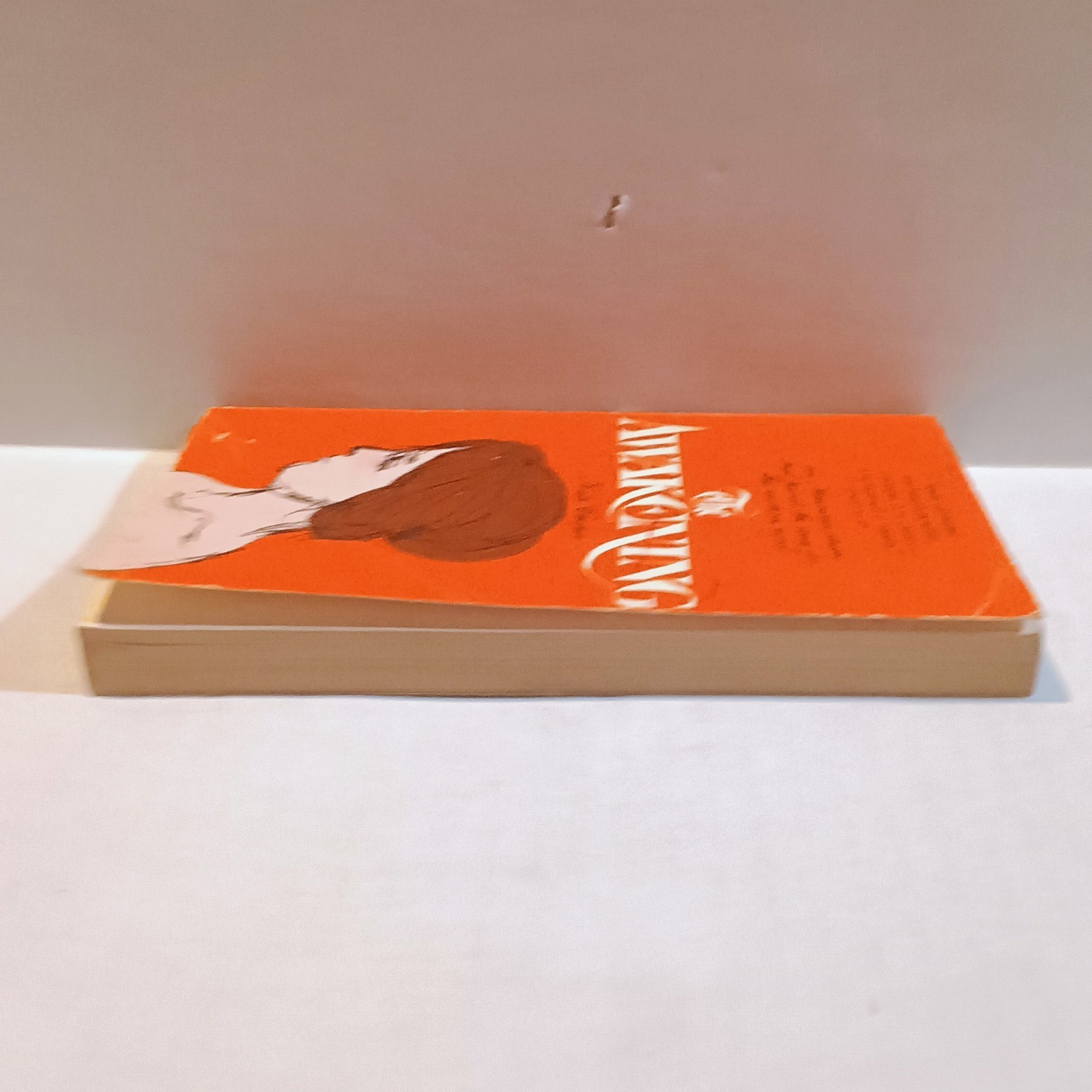 The Awakening-Kate Chopin-Capricorn Books-1964-Early Feminist Literature