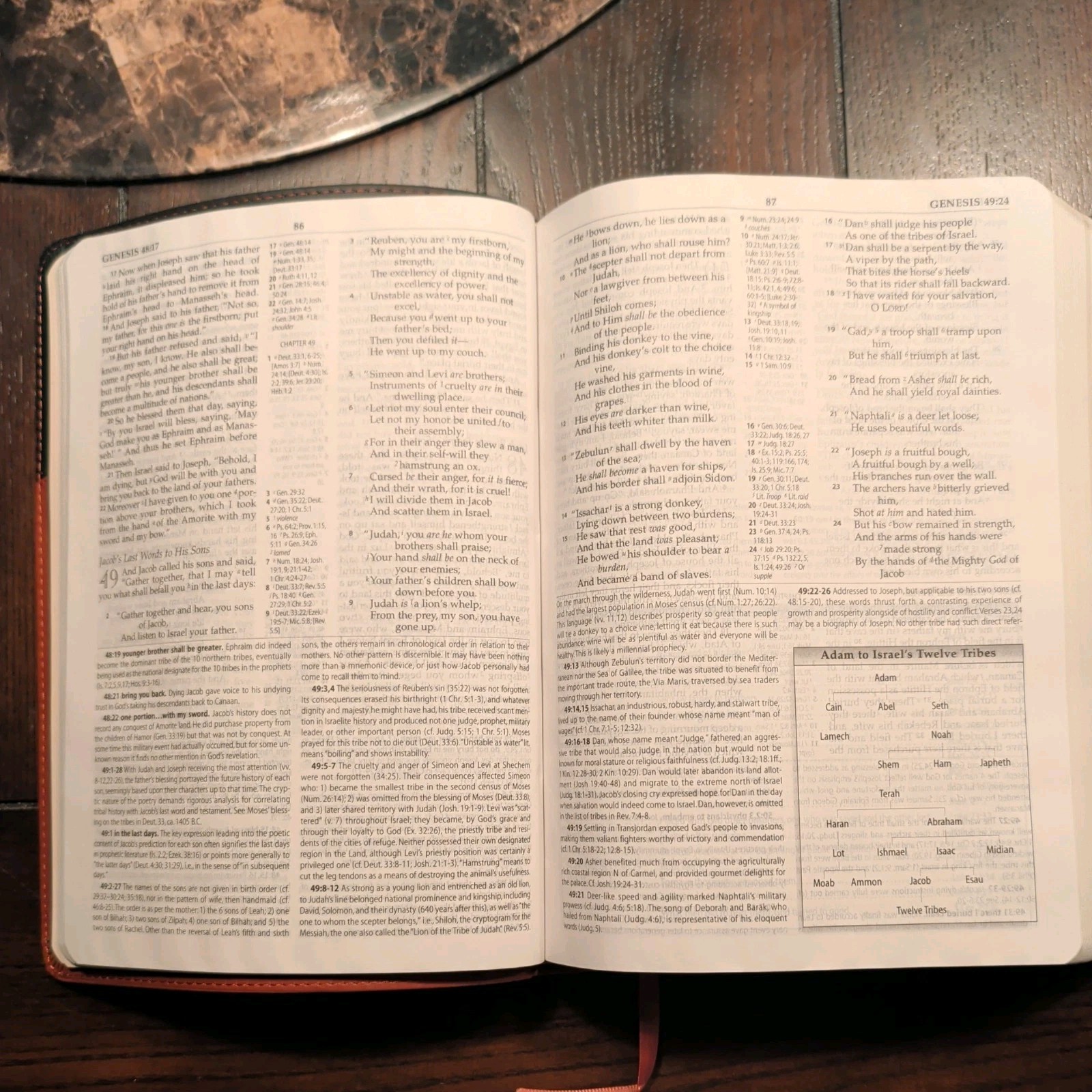 john macarthur study bible nkjv – Leather soft, NIB