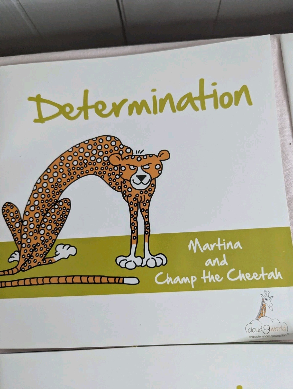 Home School Teachers Cloud 9 world character books DETERMINATION lot 2nd-5th
