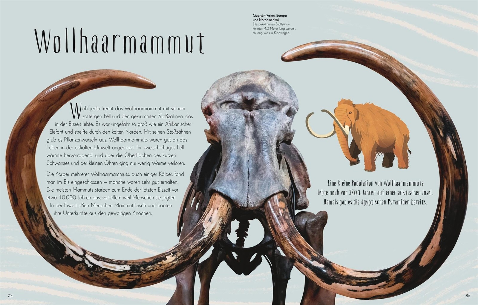Anusuya Chinsamy-Turan / Wundervolle Welt der Dinosaurier und …9783831045037