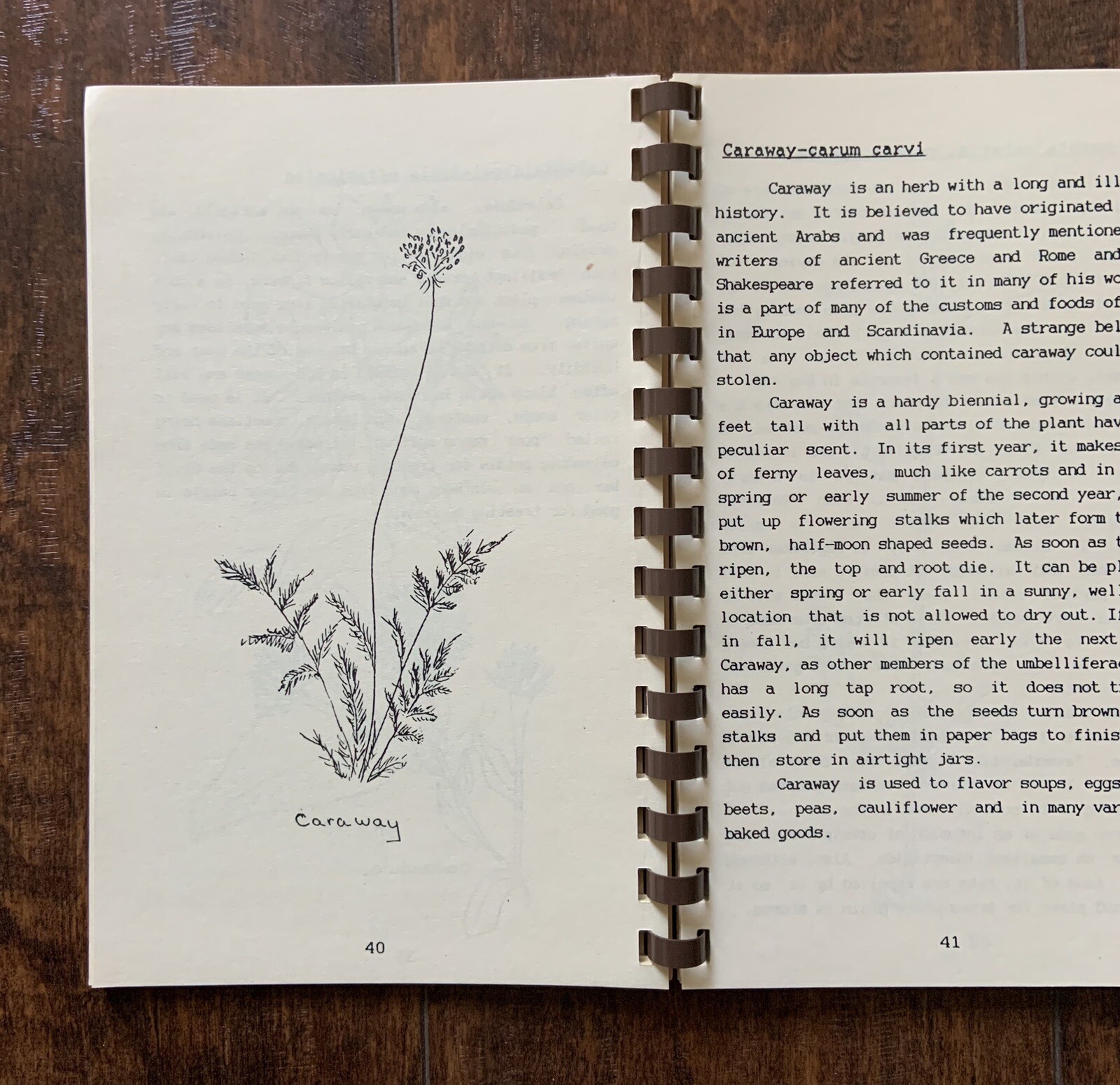 Vintage GARDENS OF HERBS-Cultivation & Gardening in the Mid-South Sara Burnette