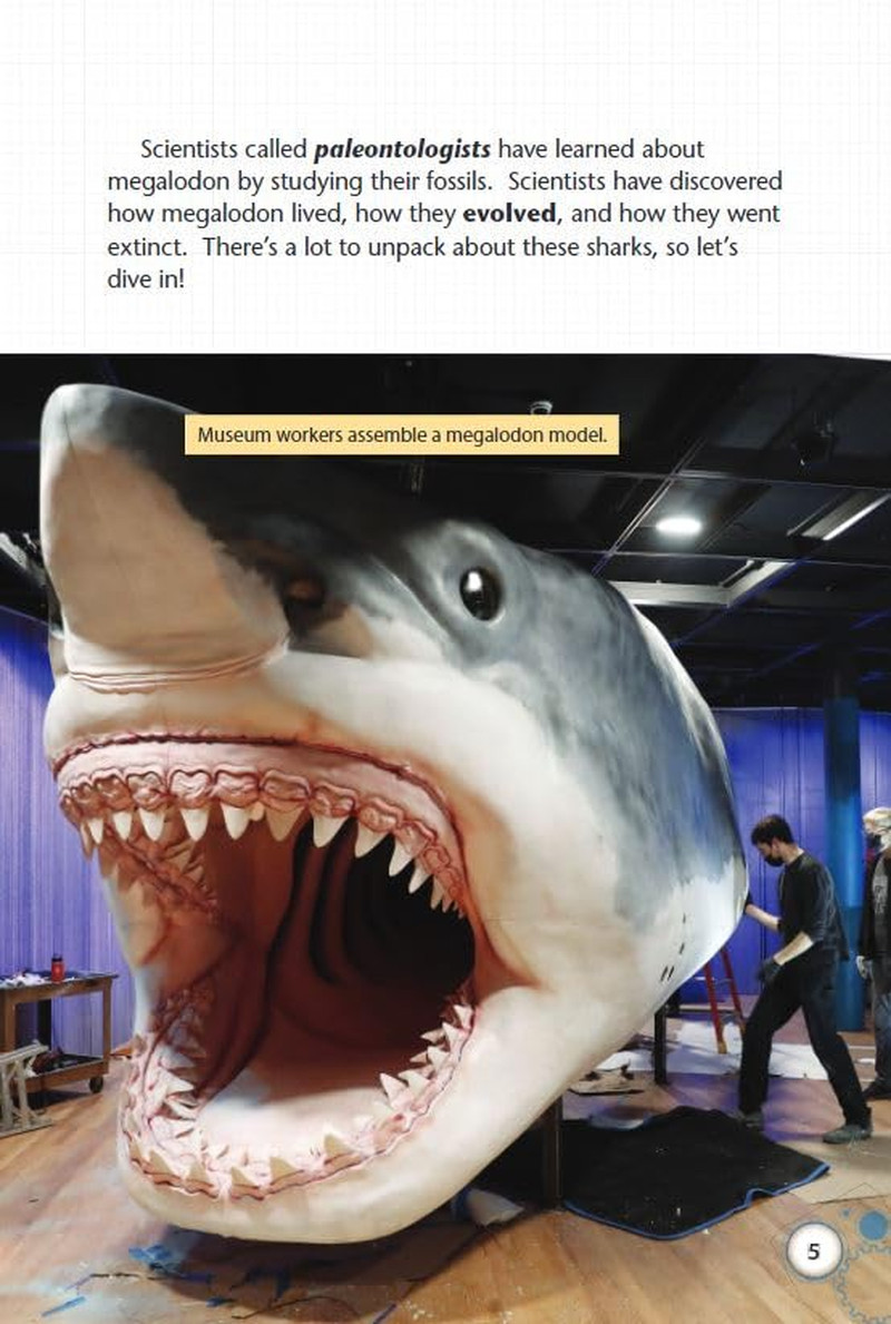Meet the Megalodon (Smithsonian: Informational Text)