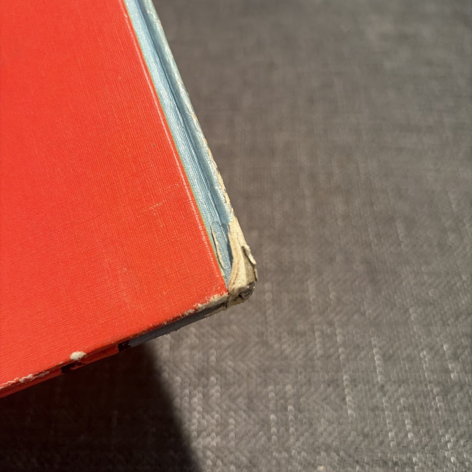 A Fly Went By 1958 1st Book Club Edition Dr. Seuss Beginner Reader Vintage Clean