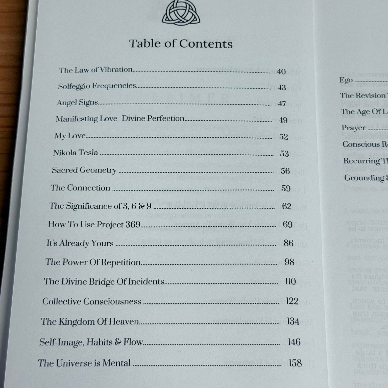 Project 369 David Kasneci 2020 First Edition Spirituality Palmetto